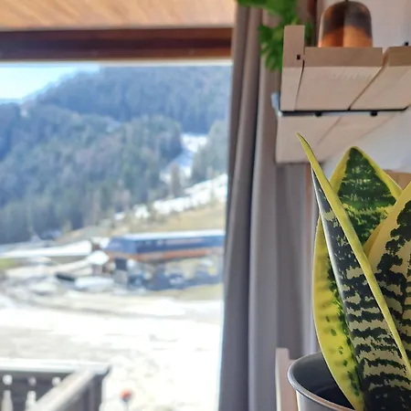 Апартаменты Lumineux Sur Piste Avec Balcon Et Reductions - Fr-1-165a-182