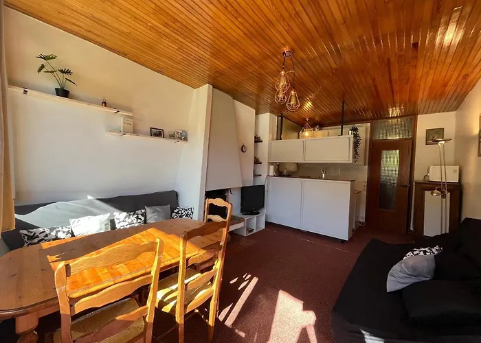 Lumineux Sur Pistes A Pra Loup - Fr-1-165a-182 Apartment