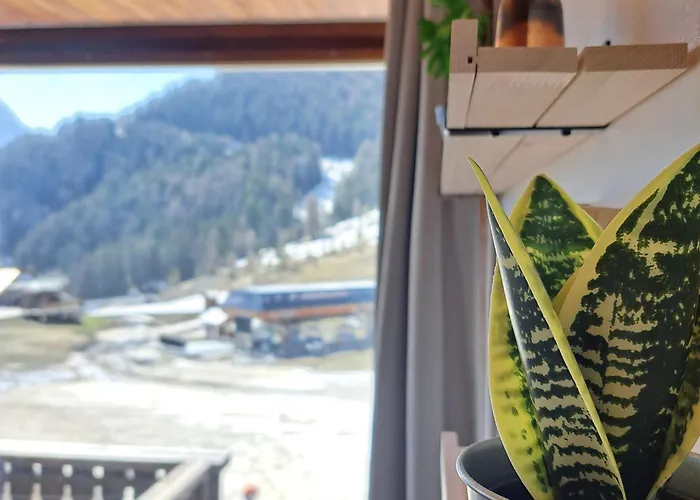 Apartment Lumineux Sur Pistes A Pra Loup - Fr-1-165a-182